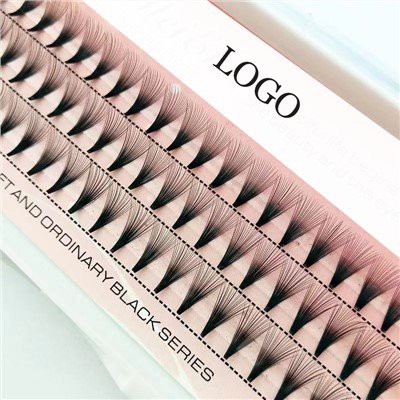 Éventails préfabriqués 20j