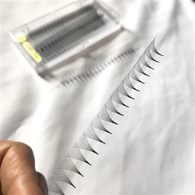 Éventails de cils préfabriqués en vrac