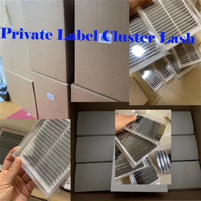 Cils en grappe de marque privée