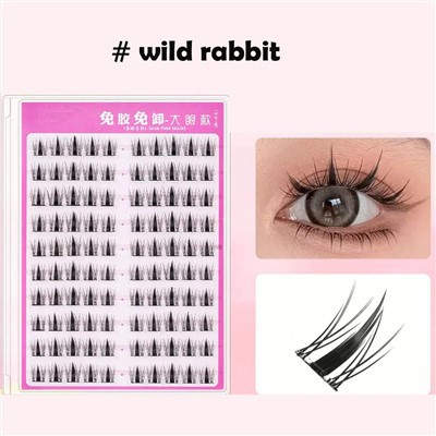 Cils réutilisables sans colle